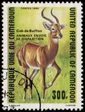 [Endangered Animals, type WK]