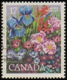 [International Flower Show, Montreal, տեսակ ZB]