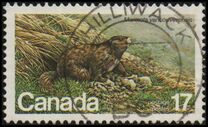[Endangered Wildlife, տեսակ AAD]
