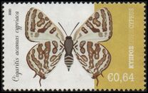 [Insects - Butterflies, ประเภท AVA]