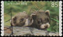 [Baby Animals, type DGB]