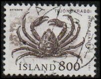[Marine Life, 유형 OS]
