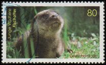 [Baby Animals, type DOA]