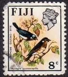[Birds and Flowers, type GF]