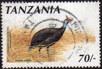 [Birds, type ABV]