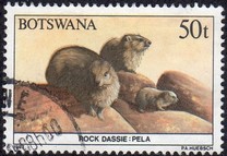 [Animals of Botswana, type PB]