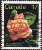 [Montreal Flower Show, Вид AAO]