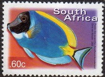 [Fauna and Flora - Fish, Tip ASO]