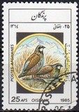 [Fauna - Birds, jenis ADE]