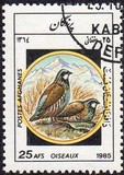 [Fauna - Birds, jenis ADE]