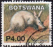 [Mammals, type ACF]