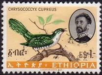 [Birds, type MY]