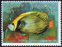 [Fish, type TU]