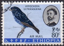 [Airmail - Birds, Tipi NW]