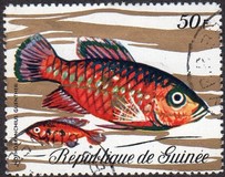 [Fish, type LF]