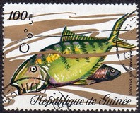 [Fish, type LH]