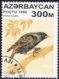 [Birds, type IQ]