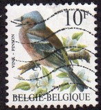 [Birds, type BNI]