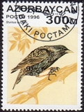 [Birds, type IQ]