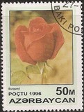 [Roses, 類型 IT]