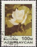 [Roses, type IU]