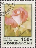 [Roses, type IV]