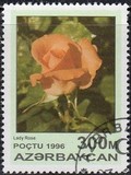 [Roses, type IX]