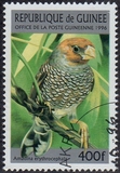 [Birds, type ASB]