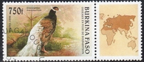 [Birds, type OP]
