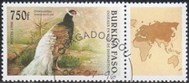 [Birds, type OP]
