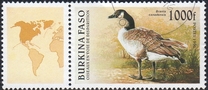 [Birds, type OQ]