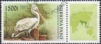 [Birds, type OR]