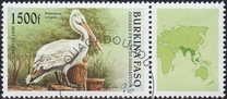 [Birds, type OR]