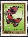 [Butterflies, ประเภท AAY]