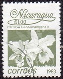 [Flowers, type BGN]