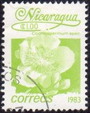 [Flowers, type BGL]