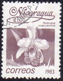 [Flowers, type BGH]