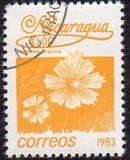 [Flowers, type BGE]