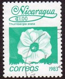 [Flowers, type BGK]