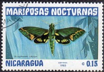 [Butterflies, тып BGZ]