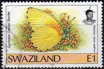 [Butterflies, type OZ2]