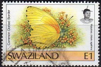[Butterflies, type OZ2]