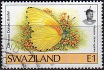 [Butterflies, type OZ2]