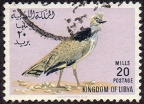 [Birds, type BL]