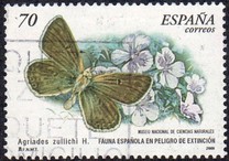 [Rare Species, type EFZ]