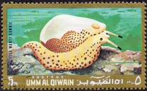 [Marine Life, տեսակ ZF]
