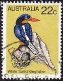 [Birds, type TW]