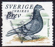 [Doves and Pigeons, type BTG]
