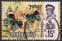 [Butterflies, type AZ]