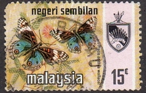 [Butterflies, type AP]